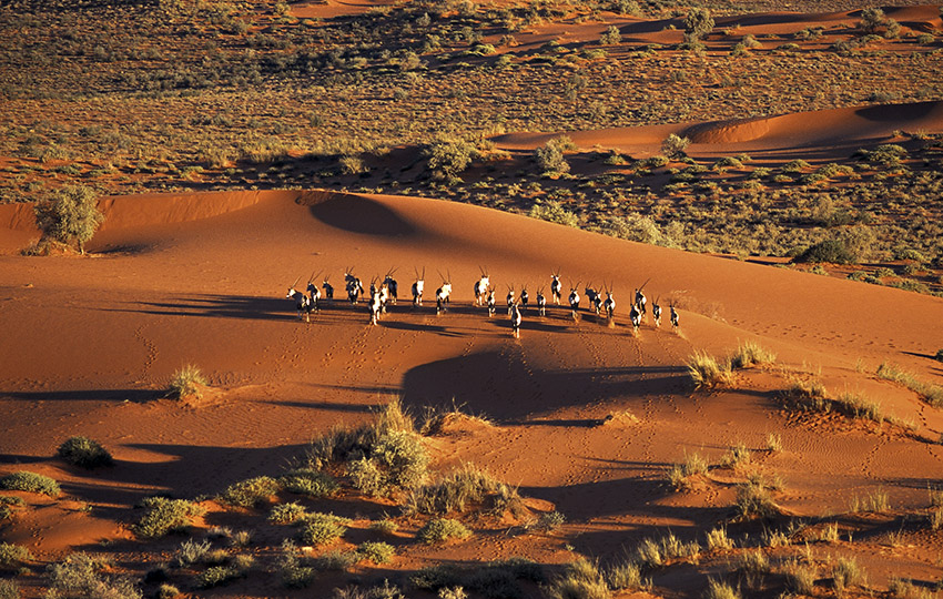Kalahari Dunes