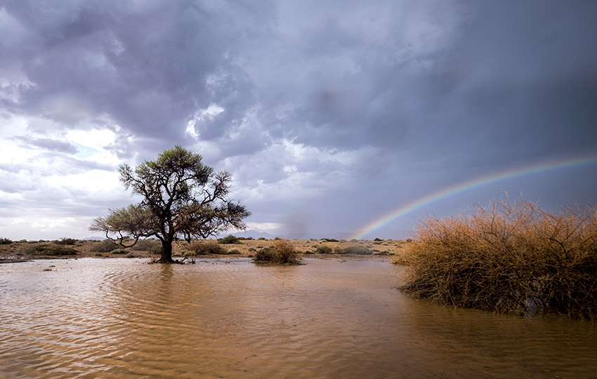 Water in the Namib